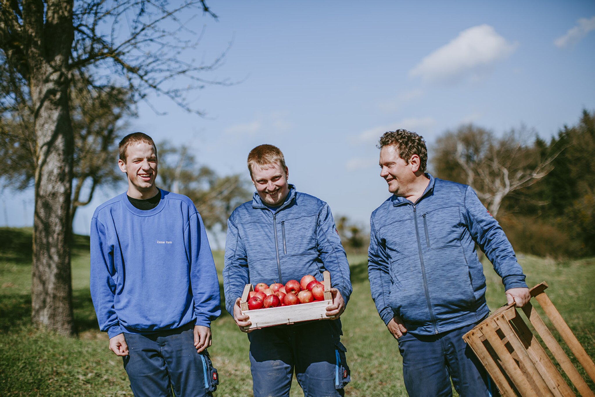 Betreuende und betreute Menschen in der Landwirtschaft im Martinstift beim Apfelernten